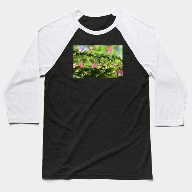 Hummingbird Baseball T-Shirt by Wolf Art / Swiss Artwork Photography